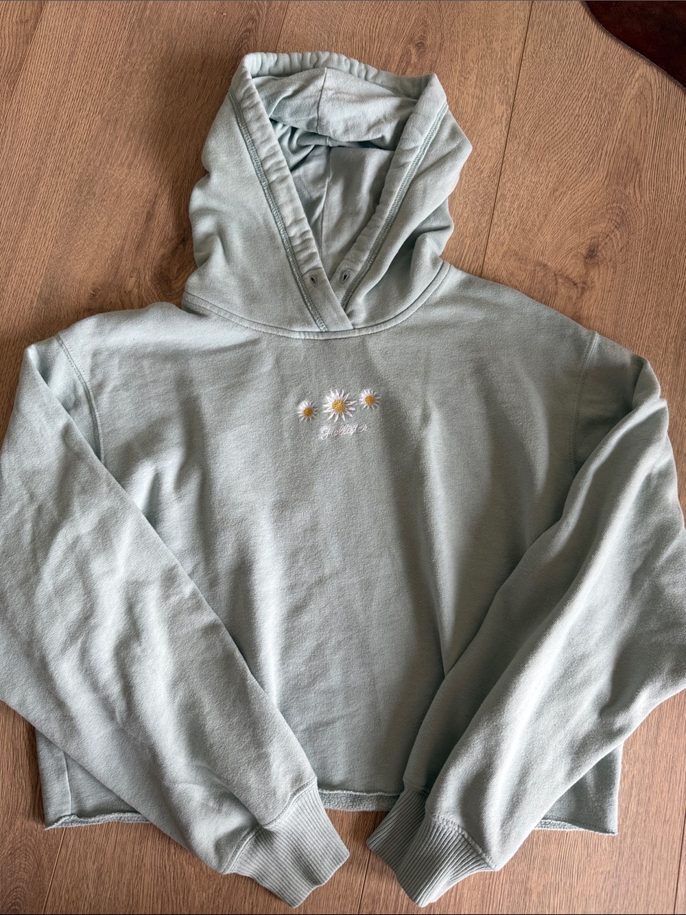 Hollister Light Sage Green Daisy Embroidered Cropped Hoodie - Small